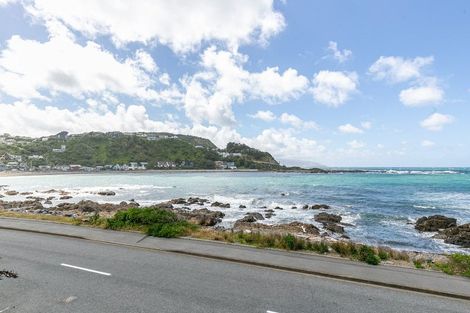 Photo of property in 100 Owhiro Bay Parade, Owhiro Bay, Wellington, 6023
