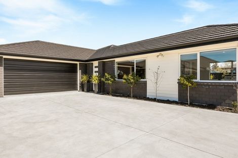 Photo of property in 39 Makawe Roa Street, Marshland, Christchurch, 8083