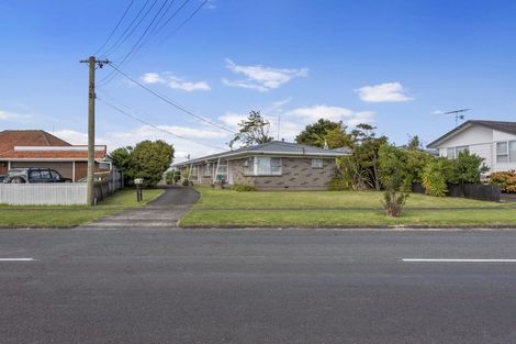 Photo of property in 132 Astley Avenue, New Lynn, Auckland, 0600