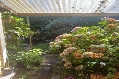 Photo of property in 22 Aro Street, Aro Valley, Wellington, 6021