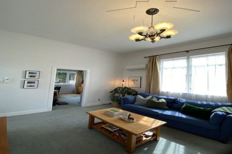 Photo of property in 48a Owen Street, Newtown, Wellington, 6021