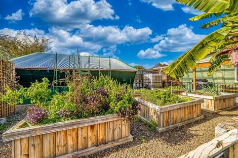 Photo of property in 309 Newell Road, Tamahere, Hamilton, 3283