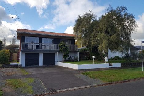 Photo of property in 133 Fitzroy Avenue, Fitzroy, Hamilton, 3206