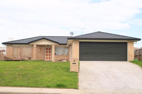 Photo of property in 33 Bicknell Road, Favona, Auckland, 2024