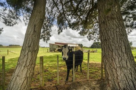 Photo of property in 803 Roberts Line, Bunnythorpe, Palmerston North, 4478