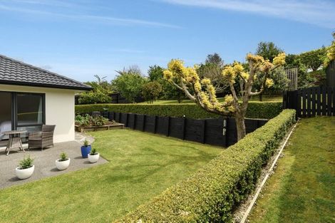 Photo of property in 16 Raukawa Drive, Bethlehem, Tauranga, 3110