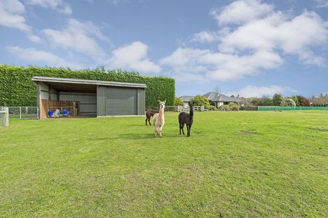 Photo of property in 1630 Clintons Road, Darfield, 7571
