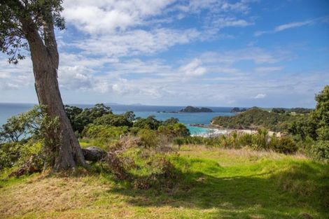 Photo of property in 515 Rockell Road, Whananaki, Hikurangi, 0181