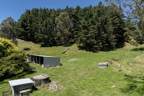 Photo of property in 785 Wharekopae Road, Ngatapa, Gisborne, 4072