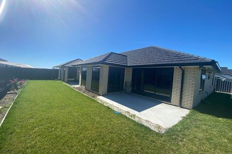 Photo of property in 13 Dinneen Close, Frimley, Hastings, 4120