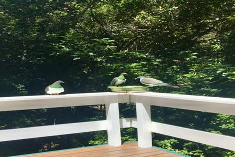 Photo of property in 89 Brick Bay Drive, Sandspit, Warkworth, 0982