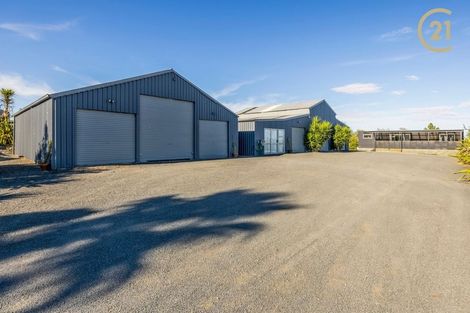 Photo of property in 885 Waerenga Road, Waerenga, Te Kauwhata, 3781