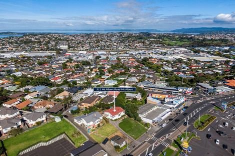 Photo of property in 511 Mount Albert Road, Three Kings, Auckland, 1042