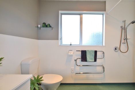 Photo of property in 113 Kitchener Street, Gore, 9710