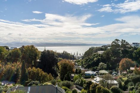 Photo of property in 11 Finnis Lane, Hospital Hill, Napier, 4110