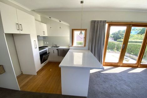 Photo of property in 17 Dundonald Street, Tainui, Dunedin, 9013