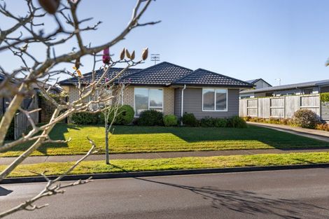 Photo of property in 146 Puhirake Crescent, Pyes Pa, Tauranga, 3112