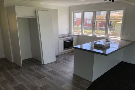 Photo of property in 259 Fox Street, Hamilton East, Hamilton, 3216