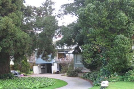 Photo of property in 207 Darraghs Road, Brookfield, Tauranga, 3110