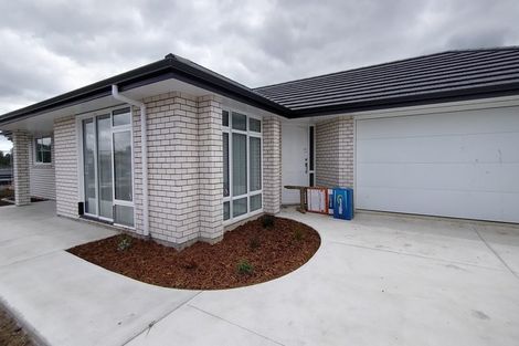Photo of property in 29 Trans Tasman Way, Pyes Pa, Tauranga, 3112