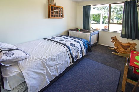 Photo of property in 317 West Bush Road, Upper Plain, Masterton, 5888