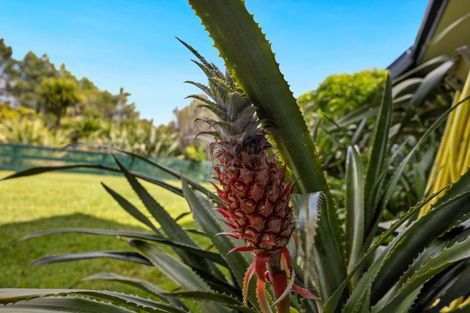 Photo of property in 51 Caprine Road, Waipapa, 0295