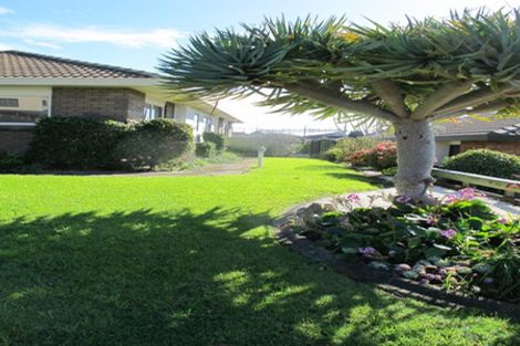 Photo of property in 31 Bayfair Drive, Mount Maunganui, 3116