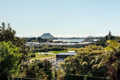 Photo of property in 2/19 Clarke Street, Gate Pa, Tauranga, 3112