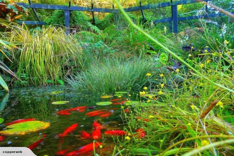 Photo of property in 72 Maindonalds Road, West Eyreton, Rangiora, 7475