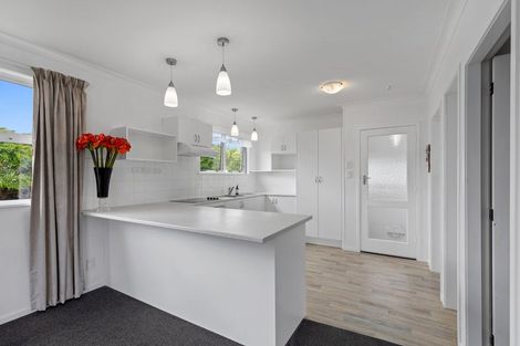 Photo of property in 24 Ridge Street, Otumoetai, Tauranga, 3110