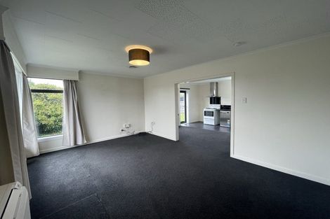 Photo of property in 17 Metzger Street, Georgetown, Invercargill, 9812