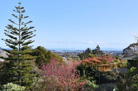 Photo of property in 97 Awanui Rise, Papakura, 2582