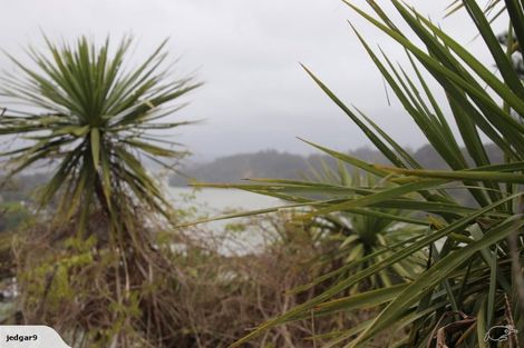 Photo of property in 1/9 Pemberton Avenue, Bayview, Auckland, 0629