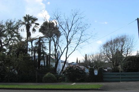 Photo of property in 41 Macarthur Street, Levin, 5510