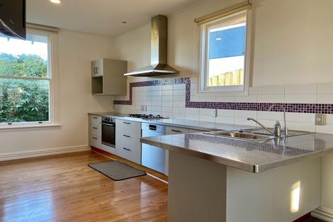 Photo of property in 22 Selkirk Street, Roslyn, Dunedin, 9010