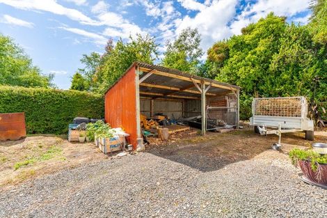 Photo of property in 8 London Street, Hampden, 9410