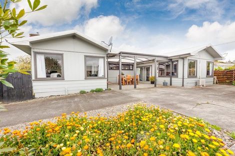 Photo of property in 46 Pembroke Street, Highbury, Palmerston North, 4412