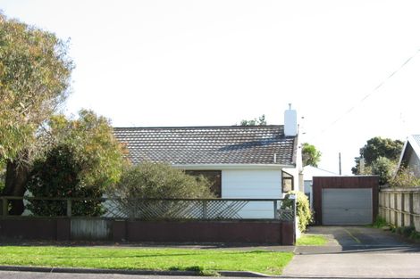Photo of property in 48 Newton Street, Fitzroy, New Plymouth, 4312