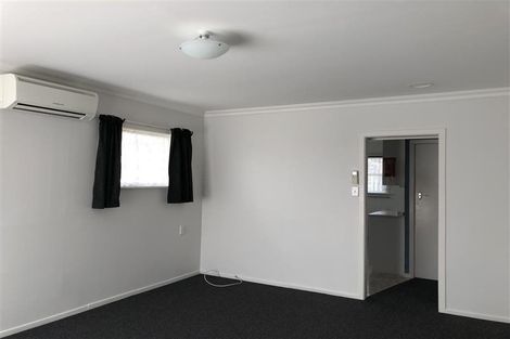 Photo of property in 53 Bath Street, Levin, 5510