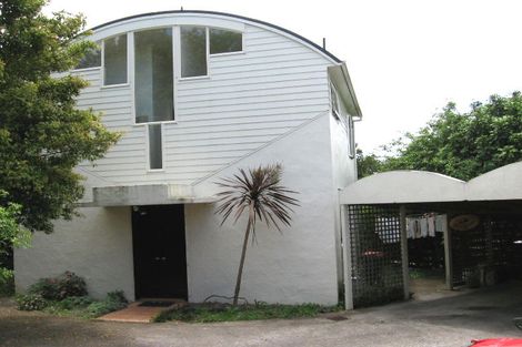 Photo of property in 45 Old Mill Road, Grey Lynn, Auckland, 1021
