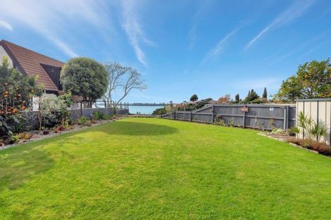 Photo of property in 23 Vine Avenue, Maungatapu, Tauranga, 3112