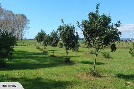 Photo of property in 324 Greig Road, Matata, Whakatane, 3194