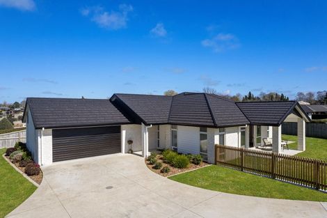 Photo of property in 13 Richardson Road, Matamata, 3400