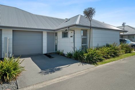 Photo of property in 11g Clarence Street South, Addington, Christchurch, 8024