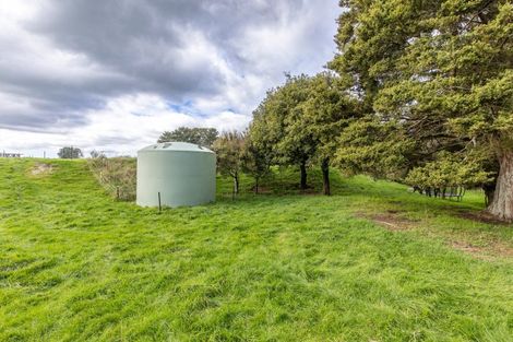 Photo of property in 137 Kiritaki Road, Dannevirke, 4972