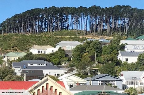 Photo of property in 16 Russell Terrace, Newtown, Wellington, 6021