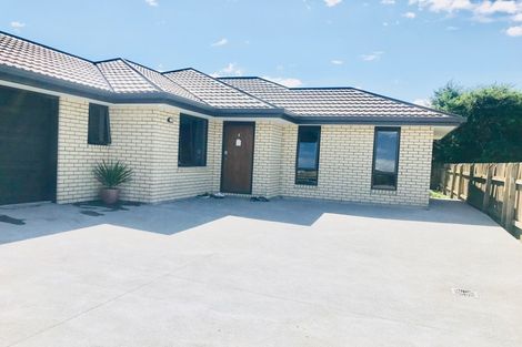 Photo of property in 28a Stratford Street, Blenheim, 7201