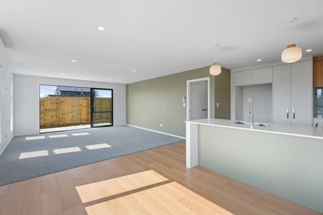 Photo of property in 14 Celeste Terrace, Peacocke, 3206