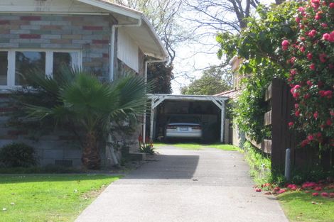 Photo of property in 71b Seventeenth Avenue, Tauranga South, Tauranga, 3112