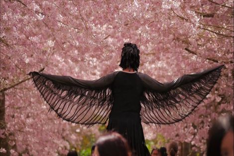 Photo of property in 125 Matangi Road, Matangi, Hamilton, 3284